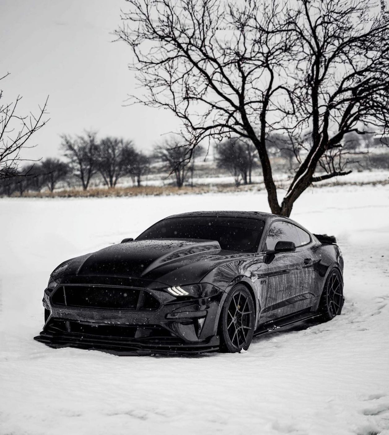 Today's News: Unveiling the 2023 Ford Mustang GT - A Roaring Legend Reinvented