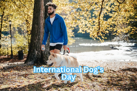 International Dog's Day