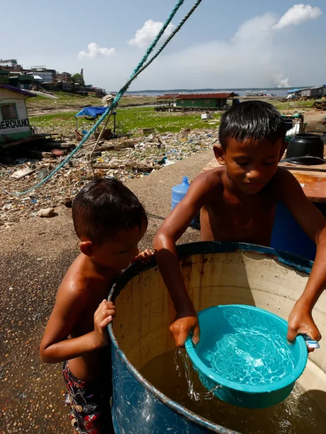 Crise da seca na floresta amazônica: uma batalha pela sobrevivência