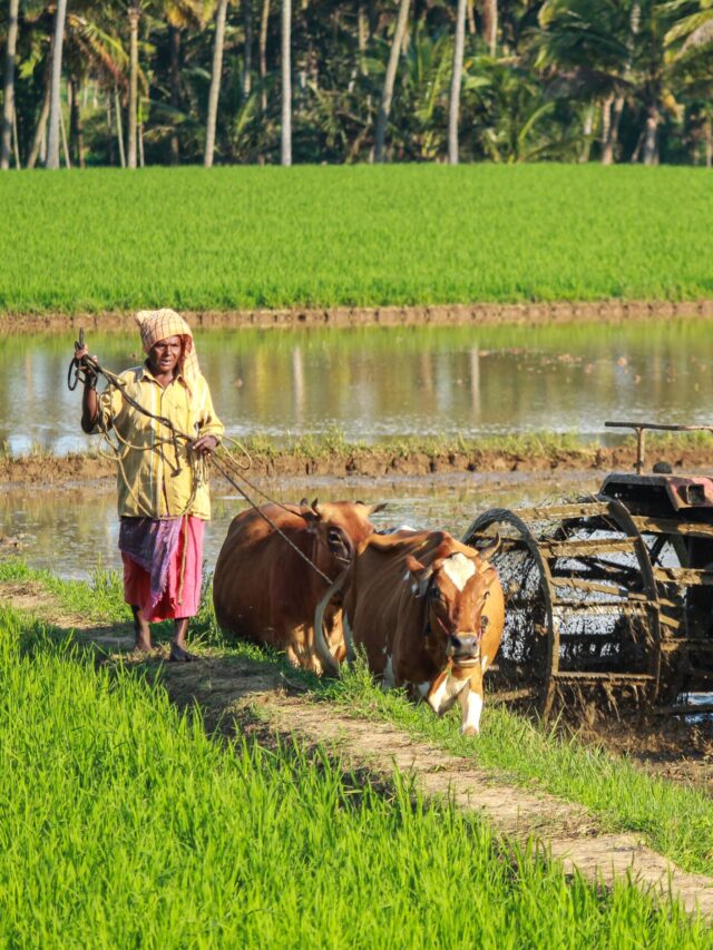 15th installment of PM Kisan Yojana unveiled by Google Web Stories