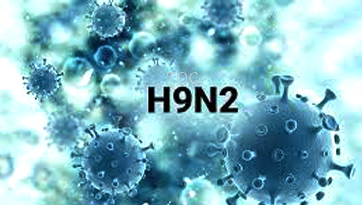 H9N2 China: China's shadow, fear in India