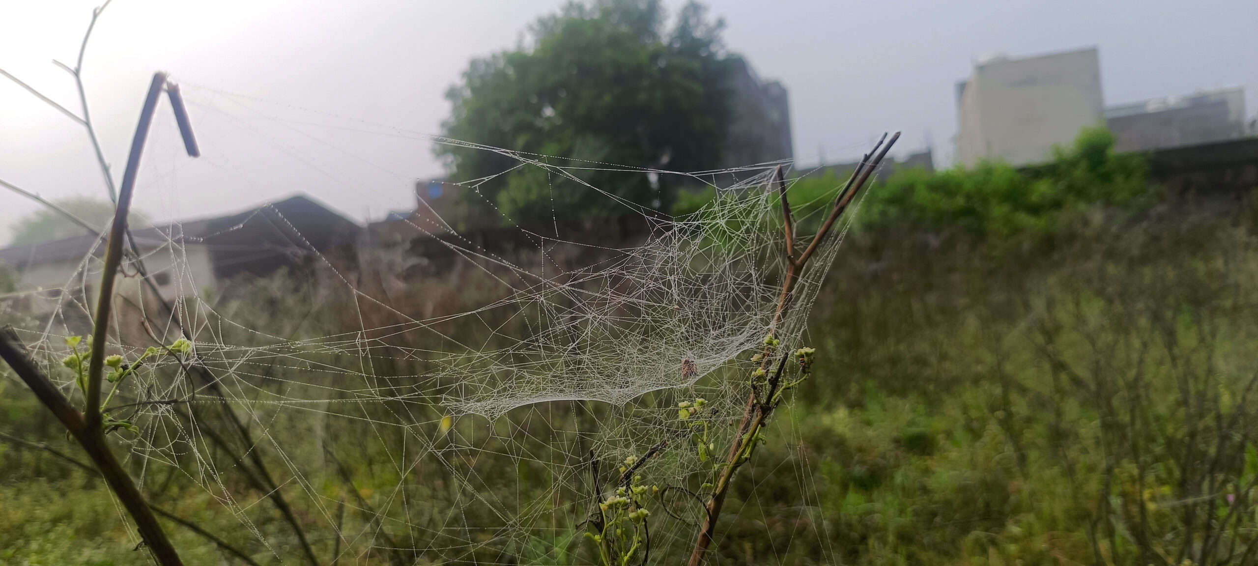 There is fog in the city: 3 दिनों की बारिश के बाद शहर में कोहरा छाया हुआ है