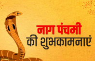 Nag Panchami 29 July क्यो कैसे मनाई जाती है भारत में इसका महत्व