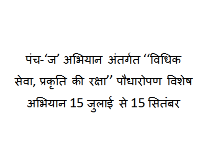 Special plantation campaign 2025