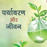 How many trees should be planted in India for the environment?