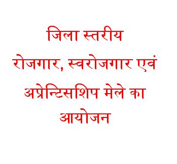 Organising district level employment, self-employment and apprenticeship fair